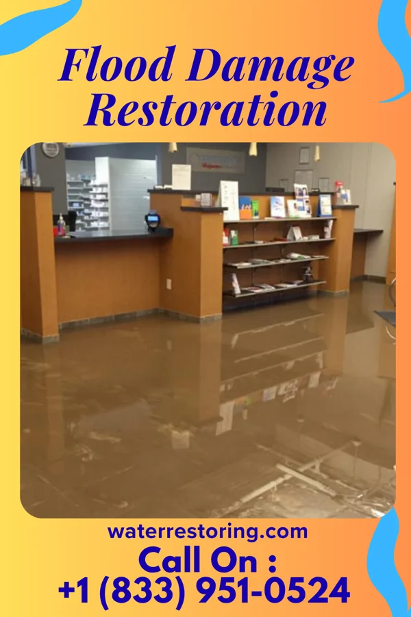Flood Damage Restoration in Arbury Hills, IL