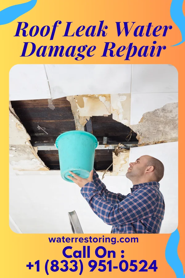 Roof Leak Water Damage Repair in Arbury Hills, IL