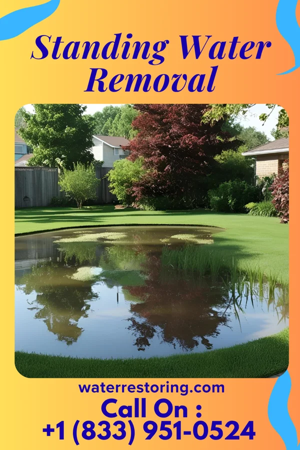 Standing Water Removal in Arbury Hills, IL